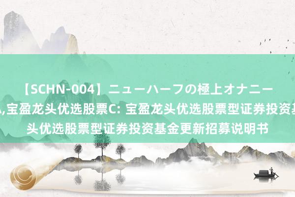 【SCHN-004】ニューハーフの極上オナニー 宝盈龙头优选股票A,宝盈龙头优选股票C: 宝盈龙头优选股票型证券投资基金更新招募说明书