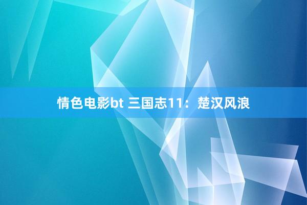 情色电影bt 三国志11：楚汉风浪