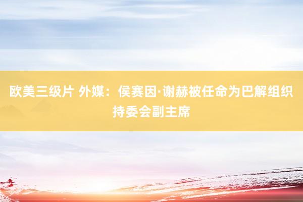 欧美三级片 外媒：侯赛因·谢赫被任命为巴解组织持委会副主席