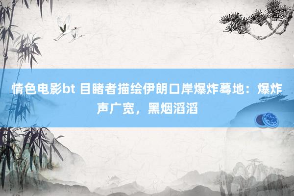 情色电影bt 目睹者描绘伊朗口岸爆炸蓦地：爆炸声广宽，黑烟滔滔