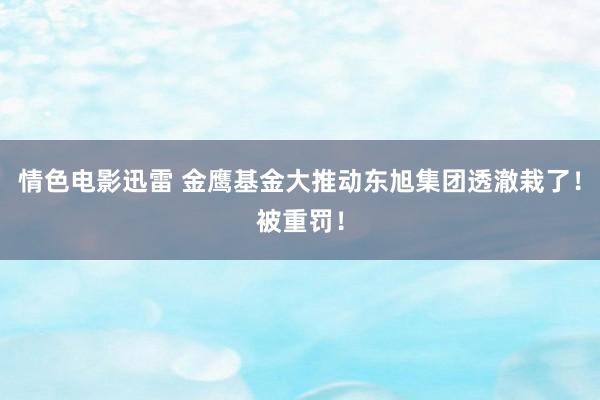 情色电影迅雷 金鹰基金大推动东旭集团透澈栽了！被重罚！