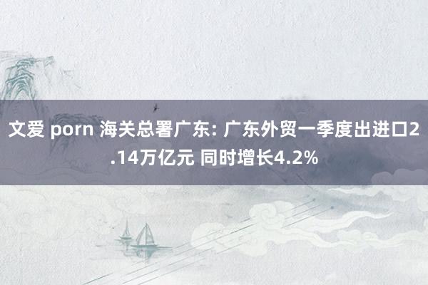 文爱 porn 海关总署广东: 广东外贸一季度出进口2.14万亿元 同时增长4.2%