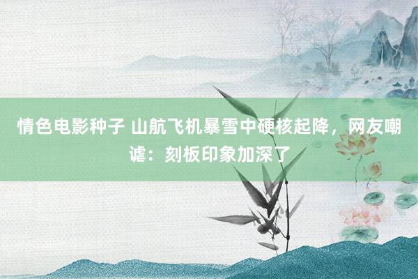 情色电影种子 山航飞机暴雪中硬核起降，网友嘲谑：刻板印象加深了